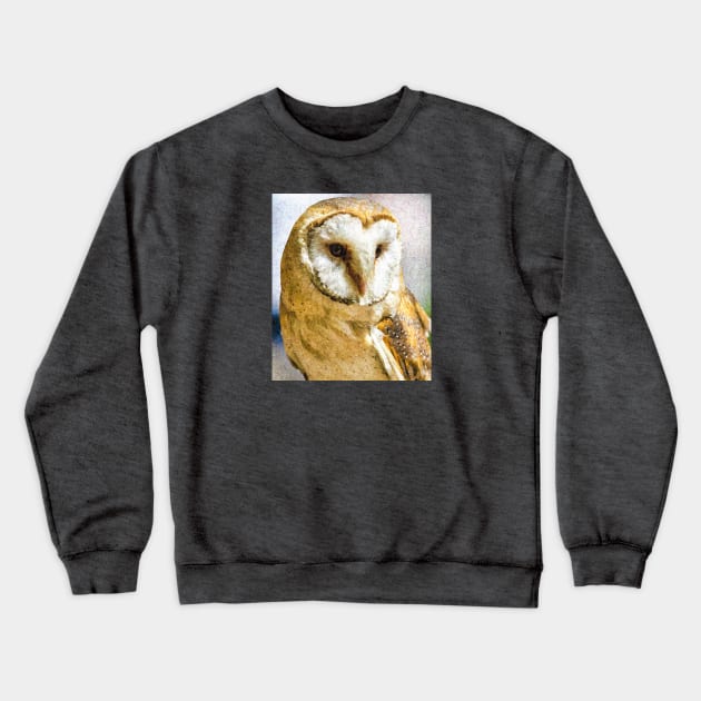 Barn Owl Crewneck Sweatshirt by Alpenglow Workshop